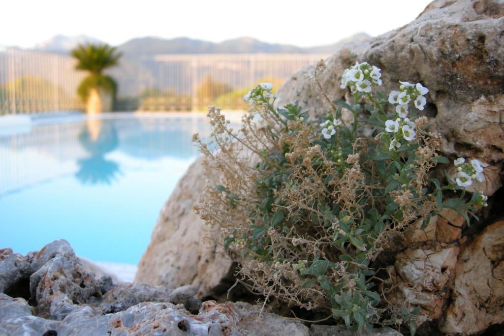 Verdeluna Aparthotel Marina di Pietrasanta Εξωτερικό φωτογραφία